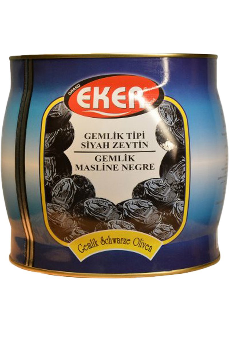 1800 G. TIN GEMLIK OLIVE